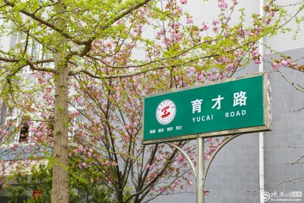 陕西理工大学春来校园气象新