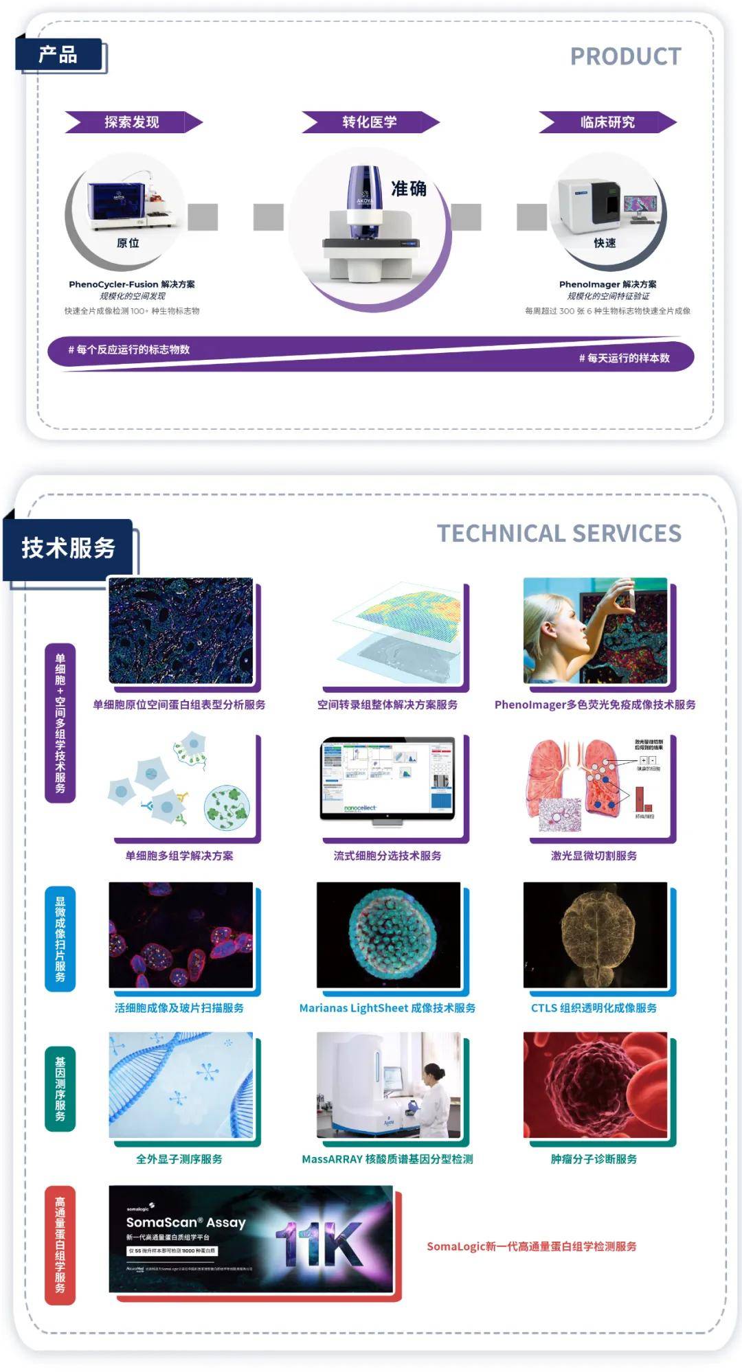 空间转录组phenoimager多重荧光免疫组化多组学揭开胸