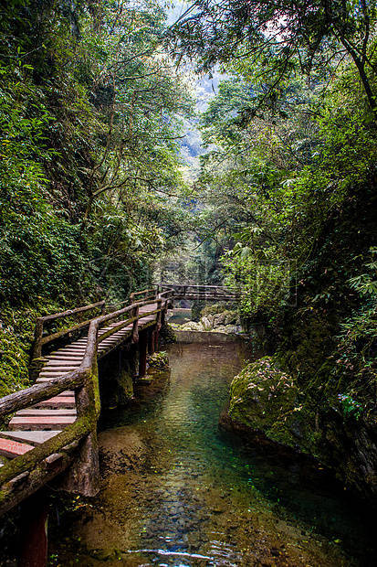 与朋友一起跟团五日游旅游路线_都江堰_青城山_风景区
