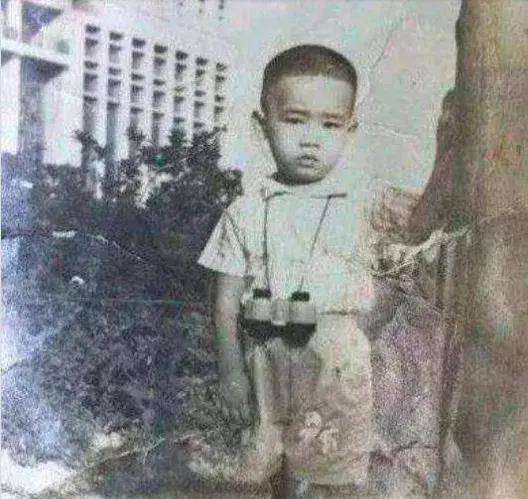 原创陈小春从理发小哥到香港影帝山鸡哥辛酸往事