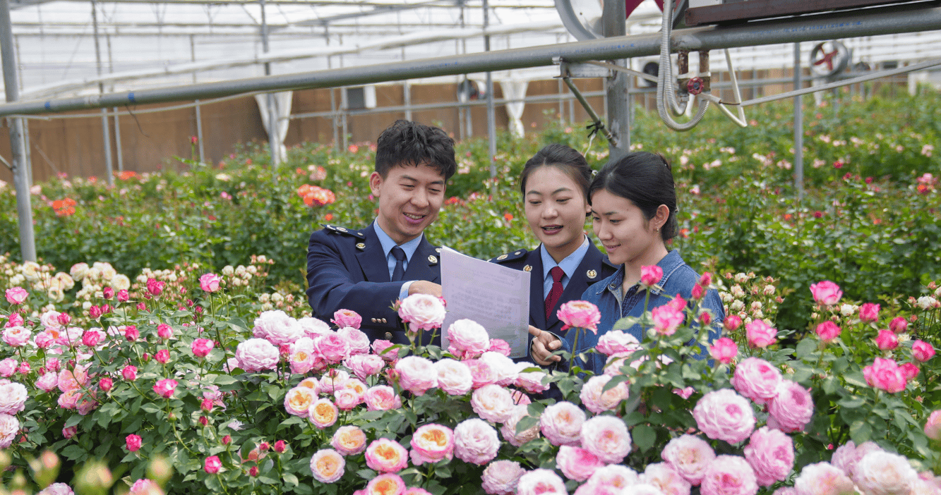 万千气象看云南 税收助力新发展_中国_税务_企业