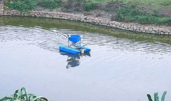 养虾塘水浑怎么办池塘养殖水质管理管好这三个方面就够了