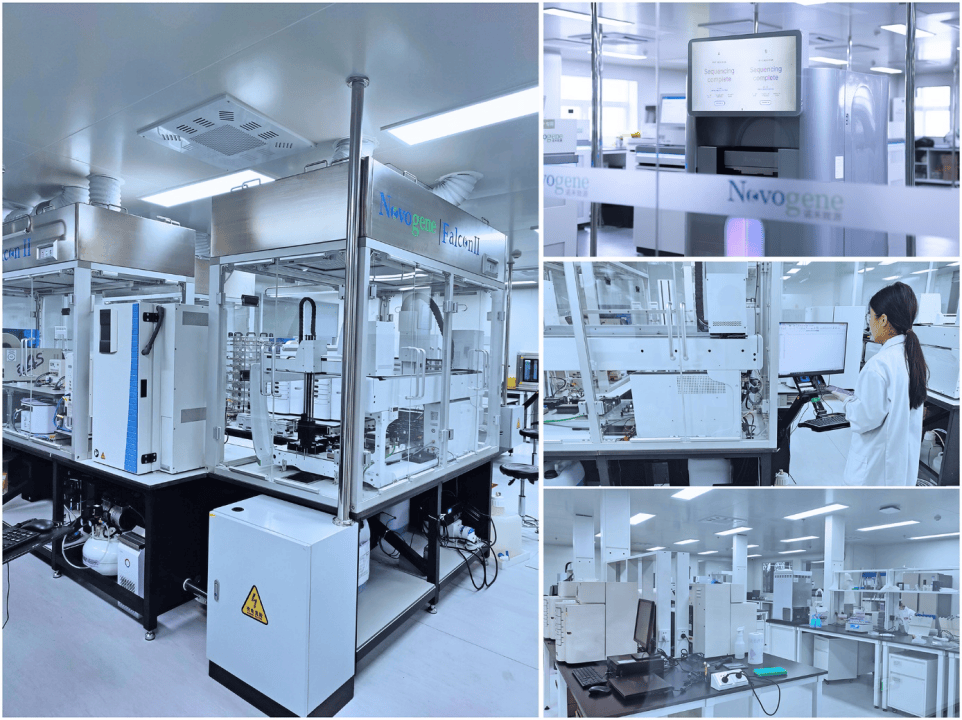 诺禾致源持续强化全球本土化战略在上海启用新实验室