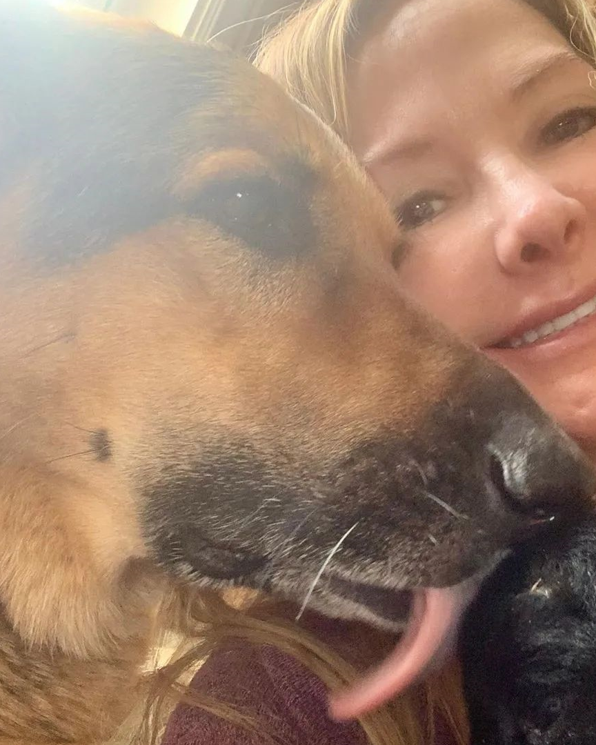 暴脾气狗狗遇上孤儿小鹿化身超贴心保姆简直暖到爆