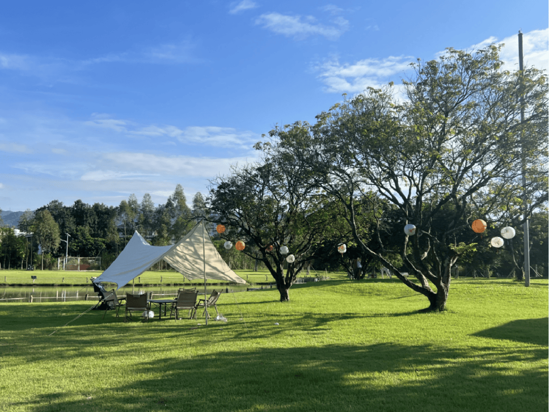 春日露营探新从化最美营地住全新轻奢帐篷和娃放肆撒欢