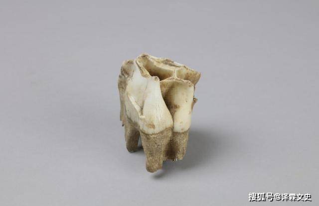 文物见证中国自古有犀牛还经常在中原地区活动