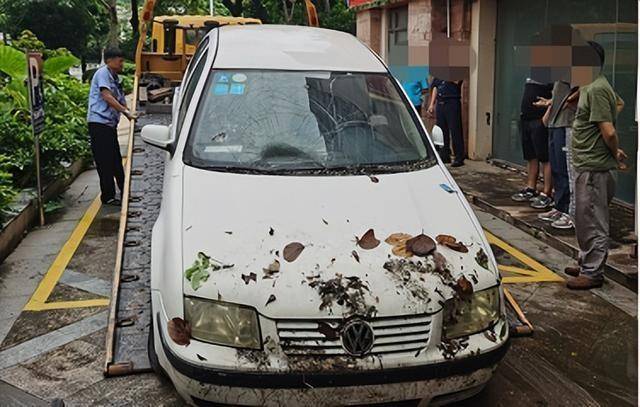 原创百万豪车无人问津落了满身鸟粪也不开走僵尸车的司机去哪了