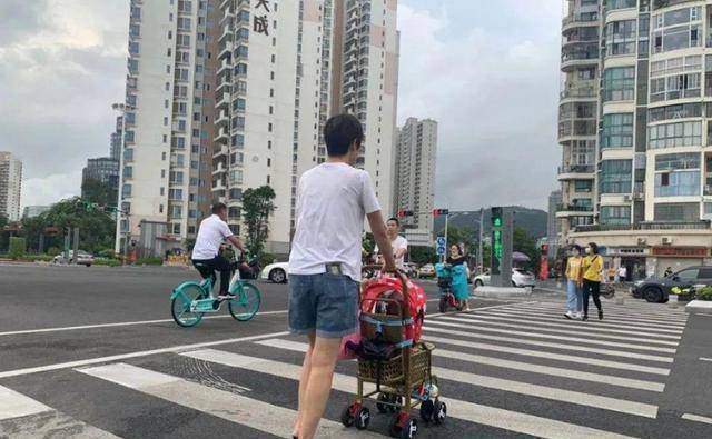 原创厦门20版网红斑马线上线人车分离还能双向通行