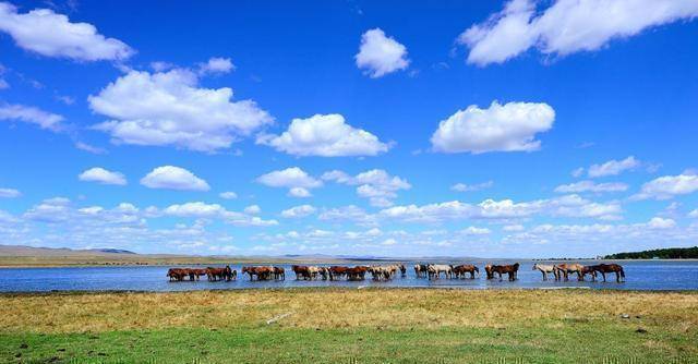 原创世界第二大内陆国家首都人口就占全国一半但人们幸福指数很高