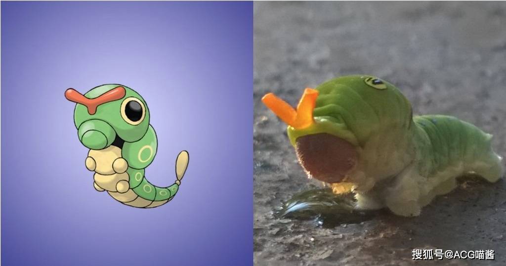 宝可梦真实身份大揭秘,原来那么多年我们都误会蚊香蝌蚪了