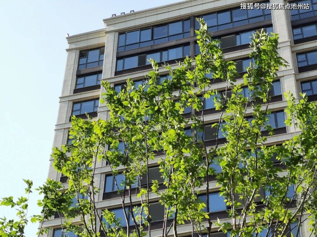 徐州绿城诚园售楼处电话→价格详情→售楼部实时更新→售楼处地址→在