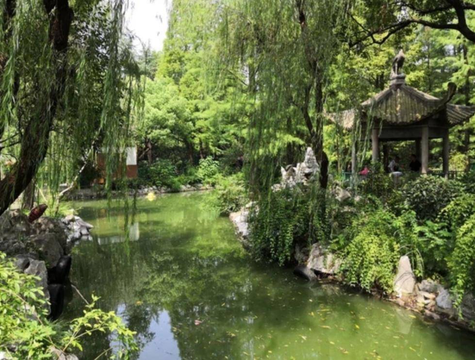 上海普陀沪太公园美景醉人