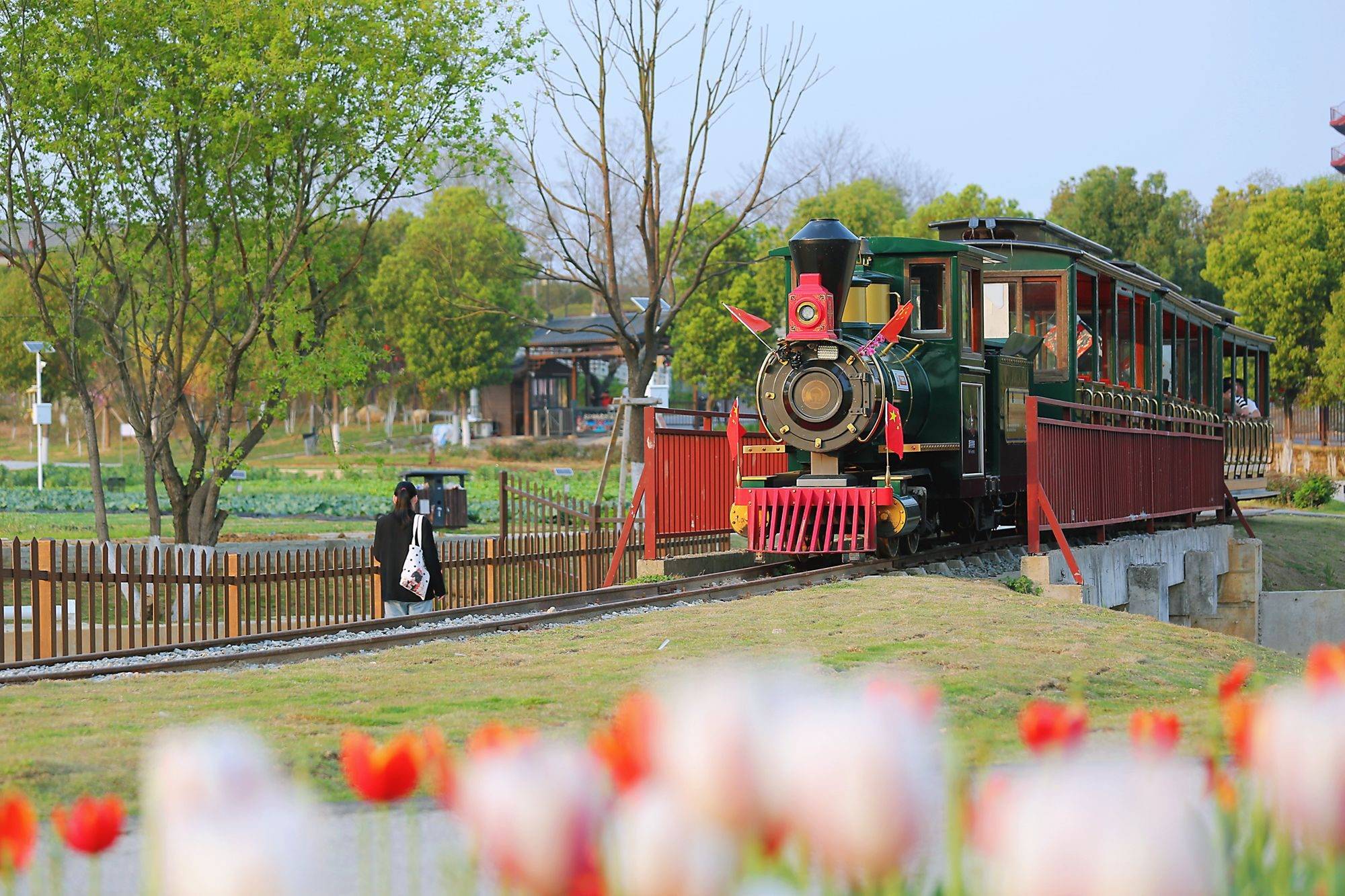 原创武汉木兰花乡郁金香开万亩花海风光无限好来一场春日踏青之旅