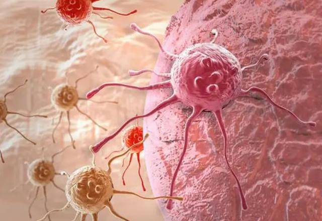 原创常吃玉米对身体有什么好处医生4类人尽量少吃别再大意