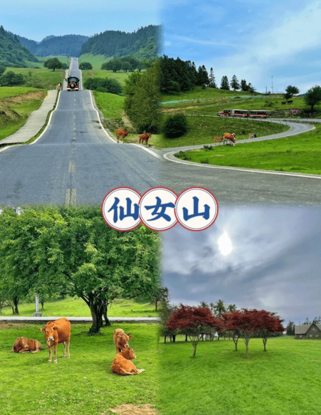 纯玩团四天三晚人均多少,重庆旅游4天3晚详细旅游攻略_day_婷婷_美食