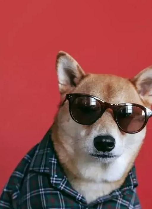 杭州姑娘怒了:这男人活该单身狗!你_女方_老婆_什么