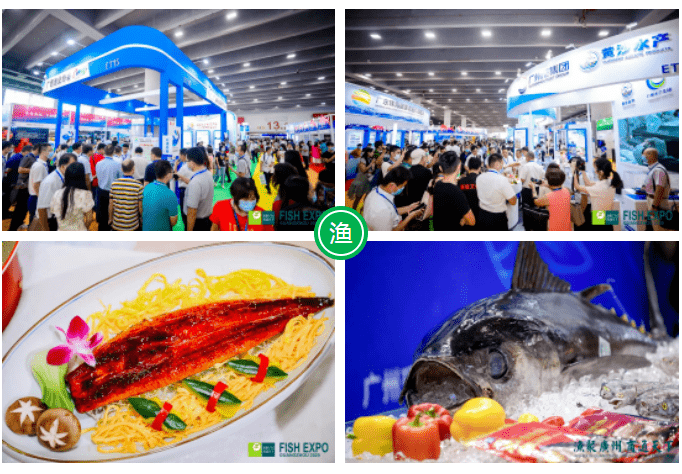 2024重庆渔博会重庆渔业展10月重磅来袭