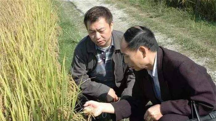 拍戏23年未能大富大贵,今66岁在农村种田养鸡_廖伟雄_阿灿_收获