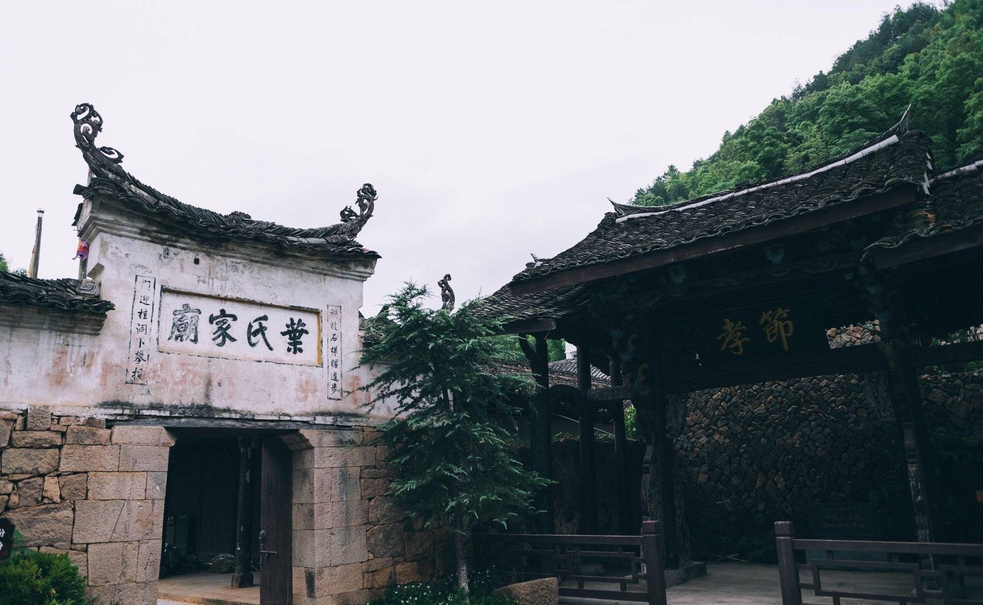 原创让川村藏在文成山水间的世外桃源长桌宴深受大家的喜爱