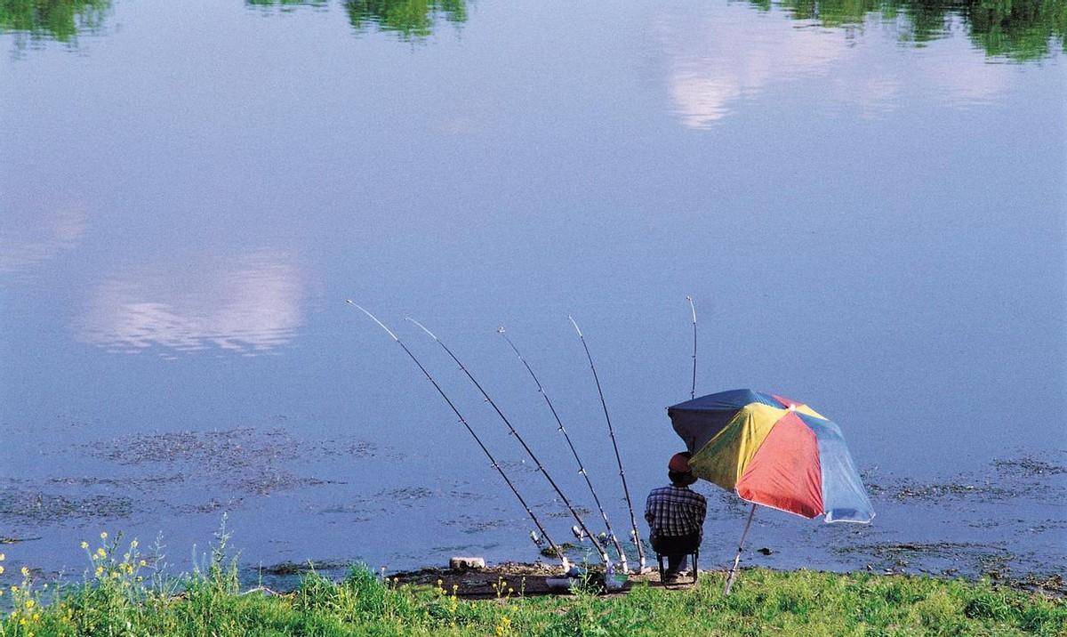 水库钓沟汊,浮钓钓靠坝 深浅钓交会,陡坡钓坡下_钓鱼人_活动_区域