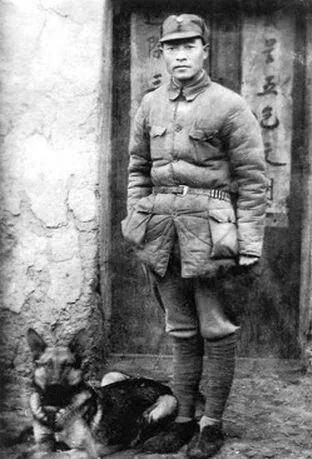 原创部队缺钱彭雪枫忍痛卖坐骑次日买主却送回13匹马我再卖给您