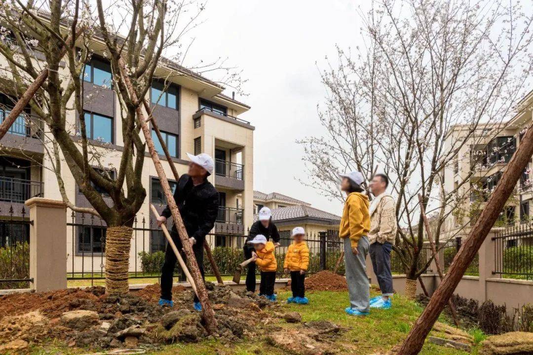 起沉浸式体验干花团扇diy,着一身旗袍邂逅东方韵味,品味宋韵点茶之美