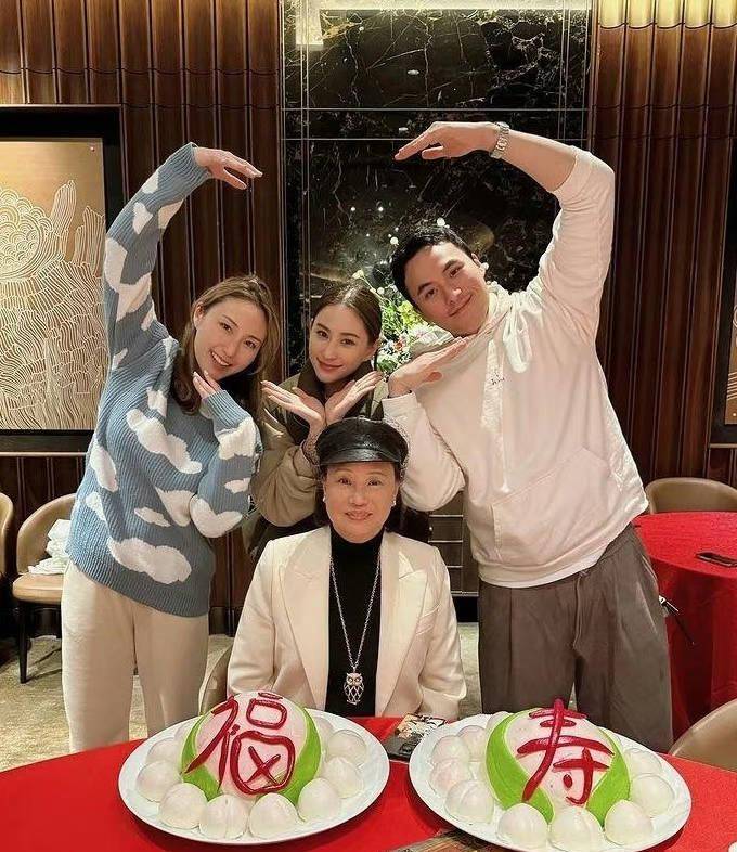 陈婉珍的七十大寿庆祝活动上,一家人齐聚一堂,共同为她庆生,四个人