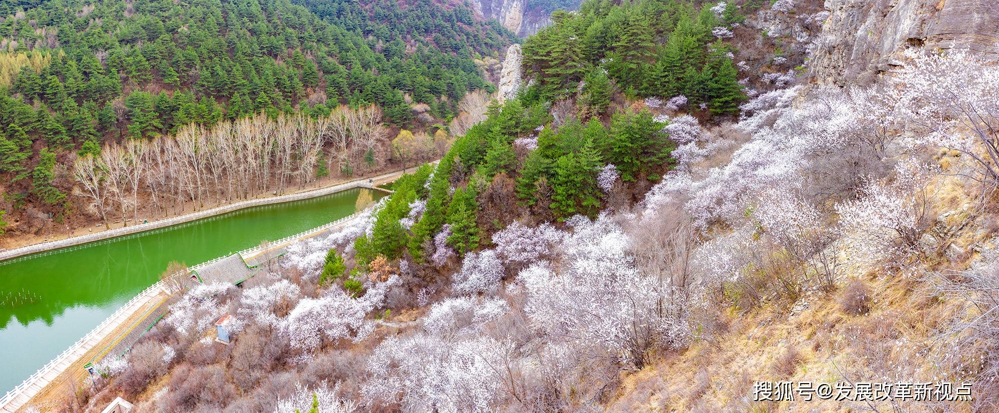 左权龙泉国家森林公园:桃花盛开呈现别样美景