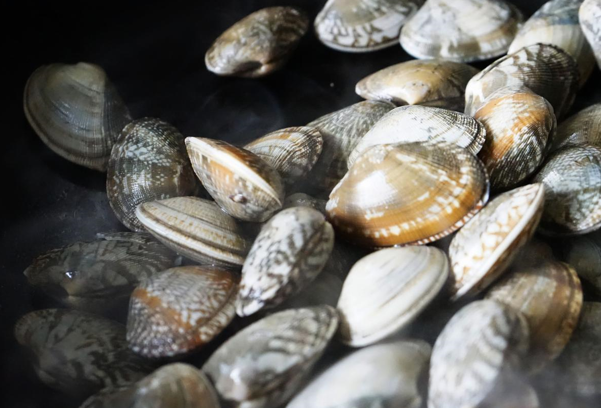 这海鲜,最便宜,适合老人吃,家家都吃得起,几块钱炒一大盘_蛤蜊_声音_