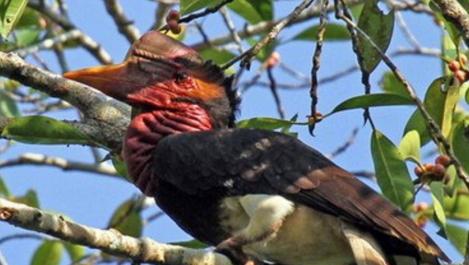 2021年女子网购一块首饰警方调查后直接将其抓捕判刑10年