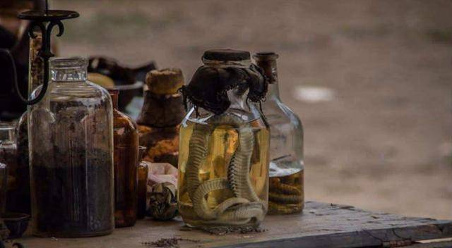 例如"癫蛊",是将蛇的实体浅埋,任其尸身上长满菌类,然后借由菌类的