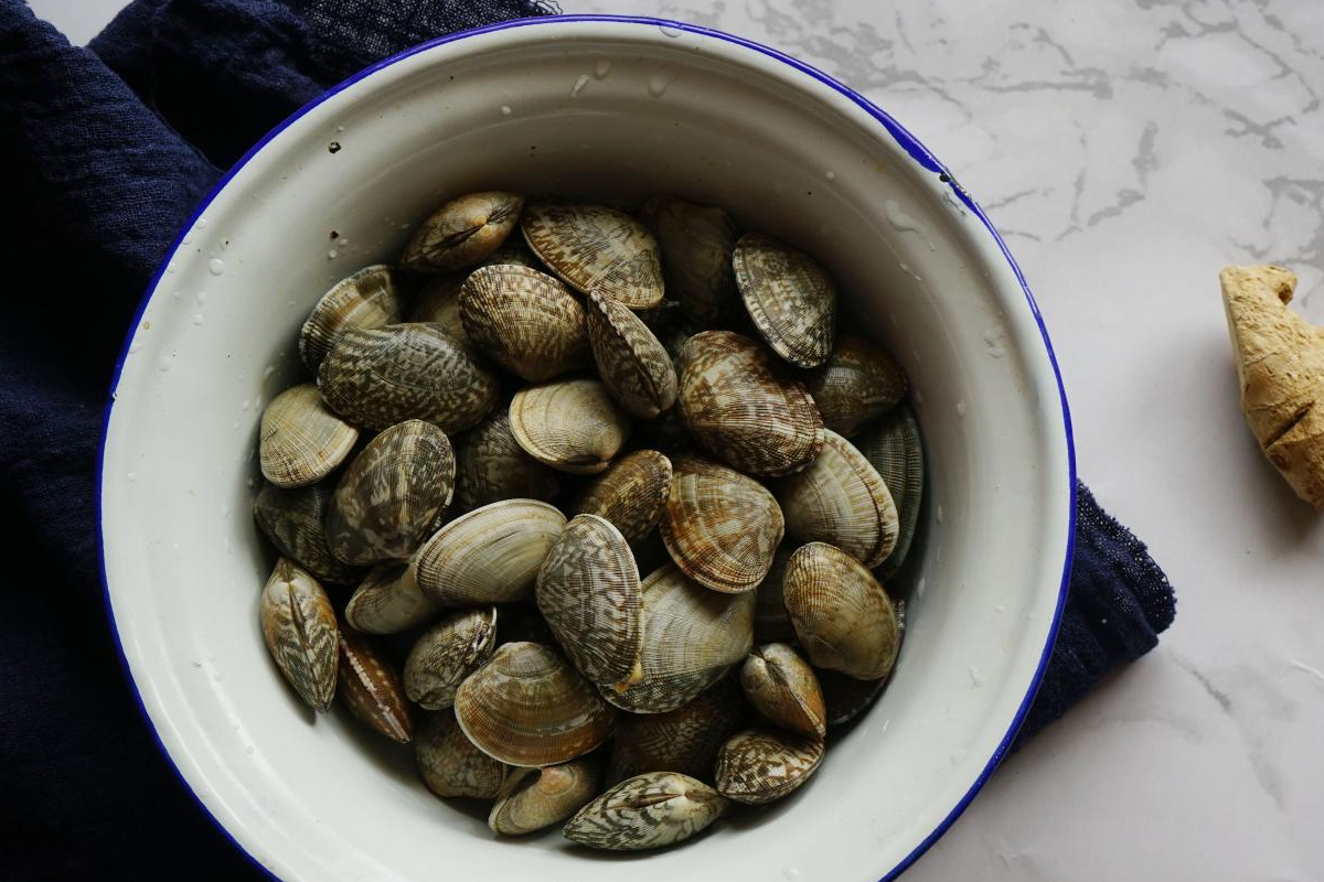 这海鲜,最便宜,适合老人吃,家家都吃得起,几块钱炒一大盘_蛤蜊_声音_