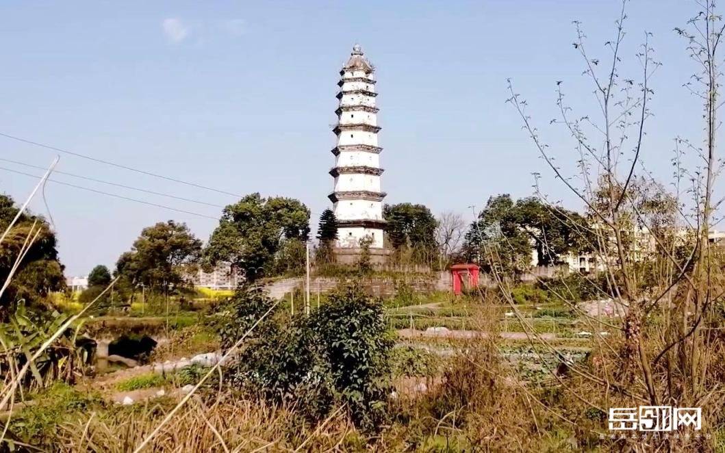 岳池不只是哇哇叫县探索巴蜀之心的璀璨明珠