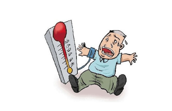 高血压吃什么水果和蔬菜降压最快轻松掌握健康生活密码