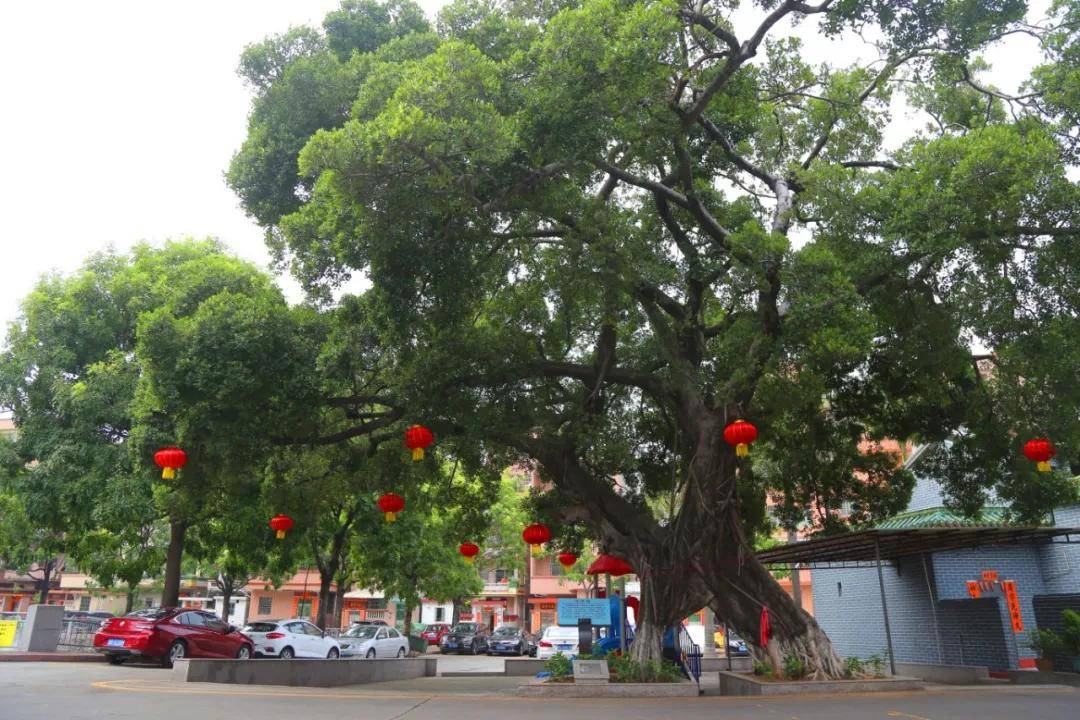 高埗卢溪村:以美丽田园综合体建设 探索卢溪经济新增长点_新发展_工程