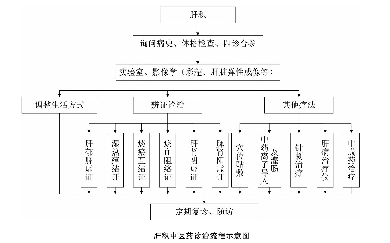 喜报 《肝积中医诊疗专家共识