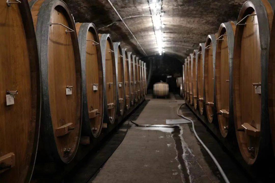 澳洲酒回归,入局者or搅局者3月28日商务部裁定,鉴于中国相关葡萄酒