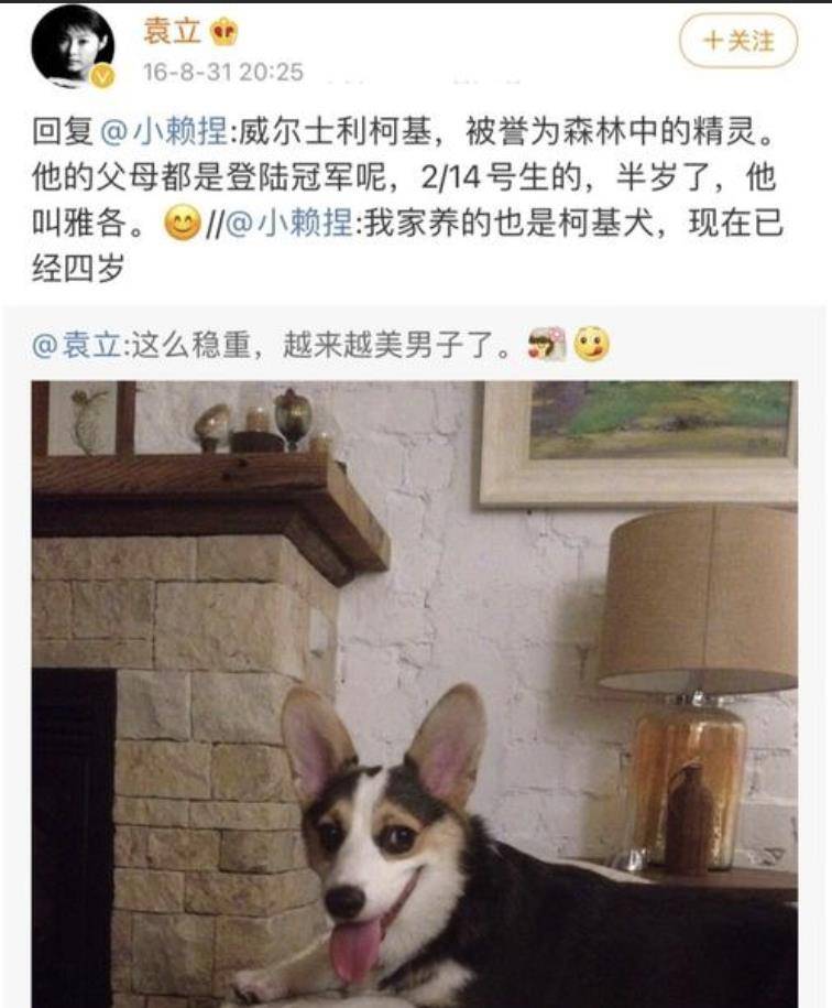 袁立和前男友(网名:方坤之子)恋爱期间养了一条名为雅阁的柯基,价值