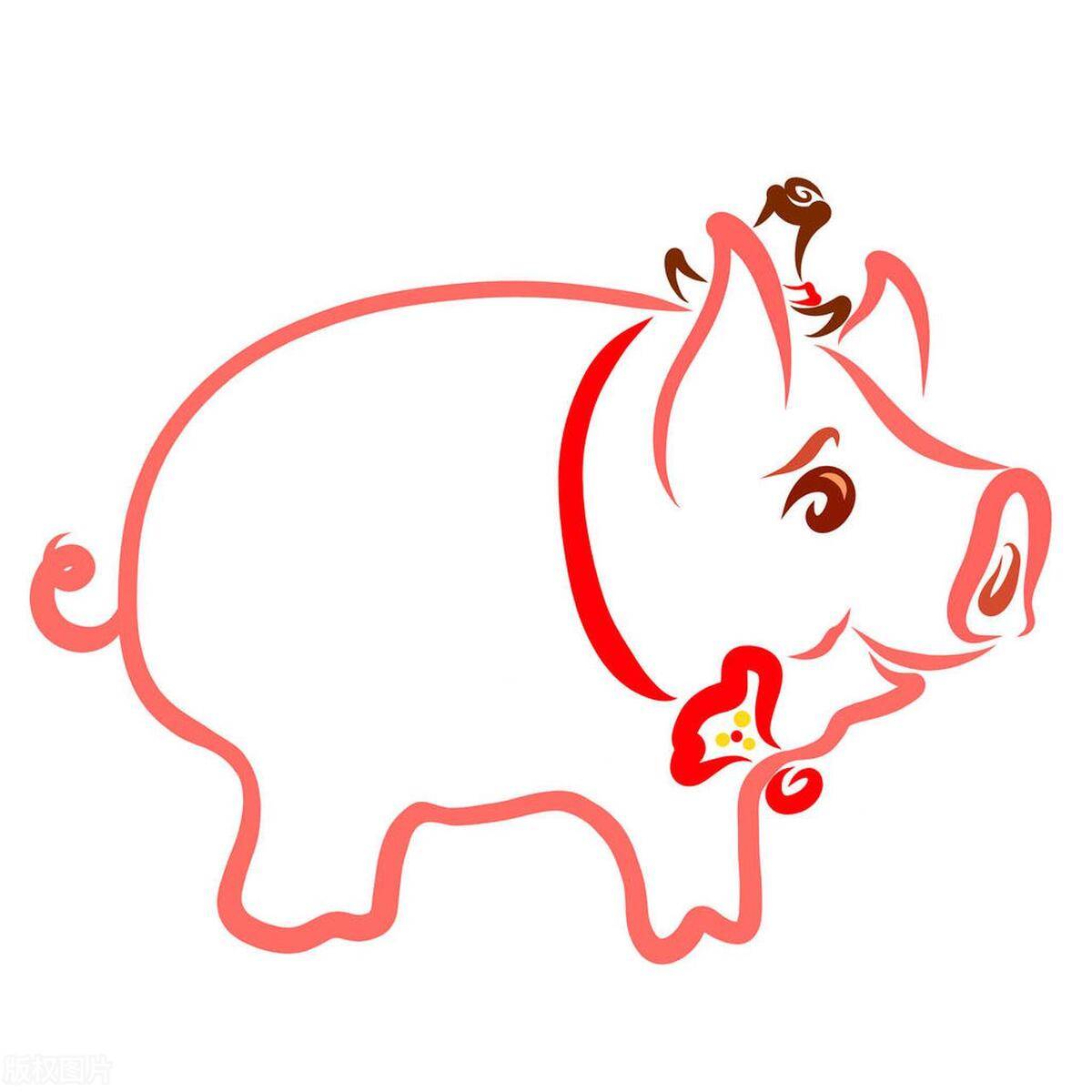 原创亥猪熬过这几个年龄段你将迎来上上签走向巅峰