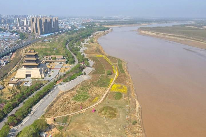 大河安澜生态美!济南黄河两岸春色如画卷