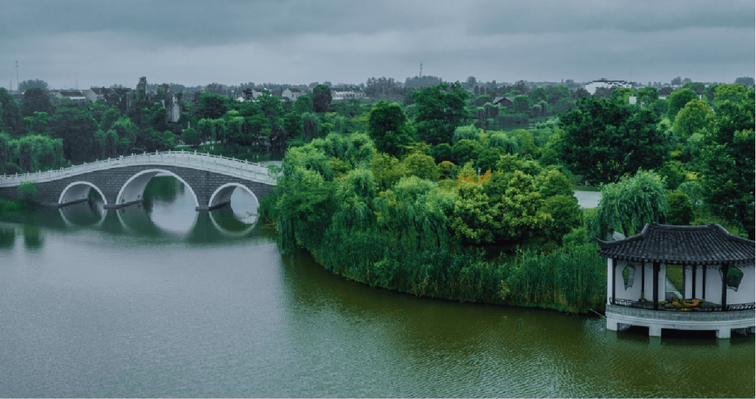 春游靖江不负江南好辰光