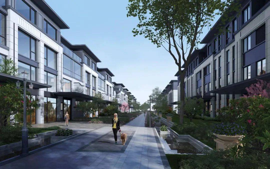 效果图堪称夸张的16米排屋楼间距,奢侈的不仅是空间,更是步阳·湖滨