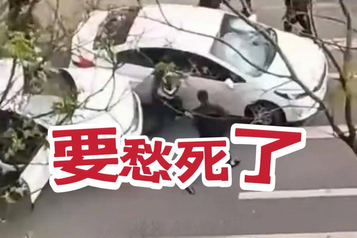 要愁死了临汾警方通报多人持械砸车打人可怜父母一路赔钱