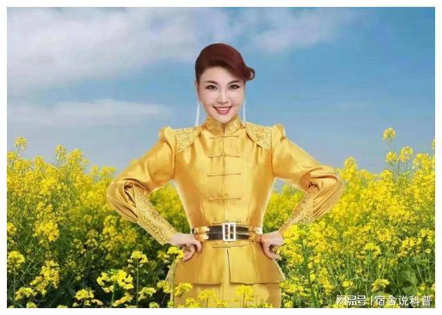 音乐_杜枫_草原