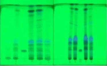 防风鉴别川芎鉴别显微鉴定法显微鉴定法是用显微镜对中药材的切片