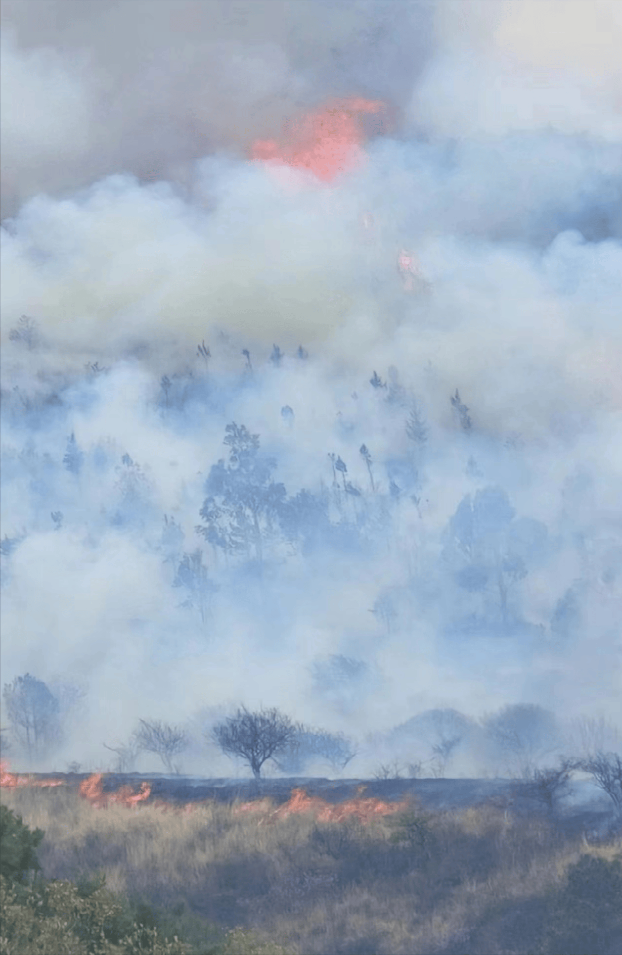 原创云南大理突发山火浓烟滚滚火光冲天如何有效防范春季山火