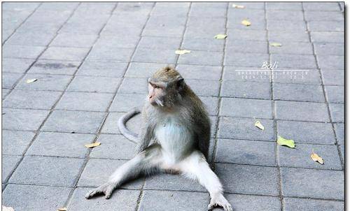 古人_坐姿_姿态