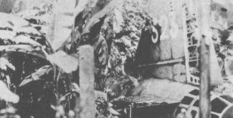 原创山本五十六死的时候为什么手握军刀摆出一个坐姿