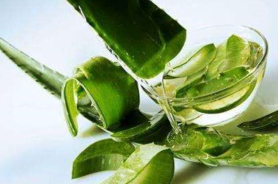 把新鲜芦荟汁直接涂于面部以求达到美肤效果的做法其实是错误的.