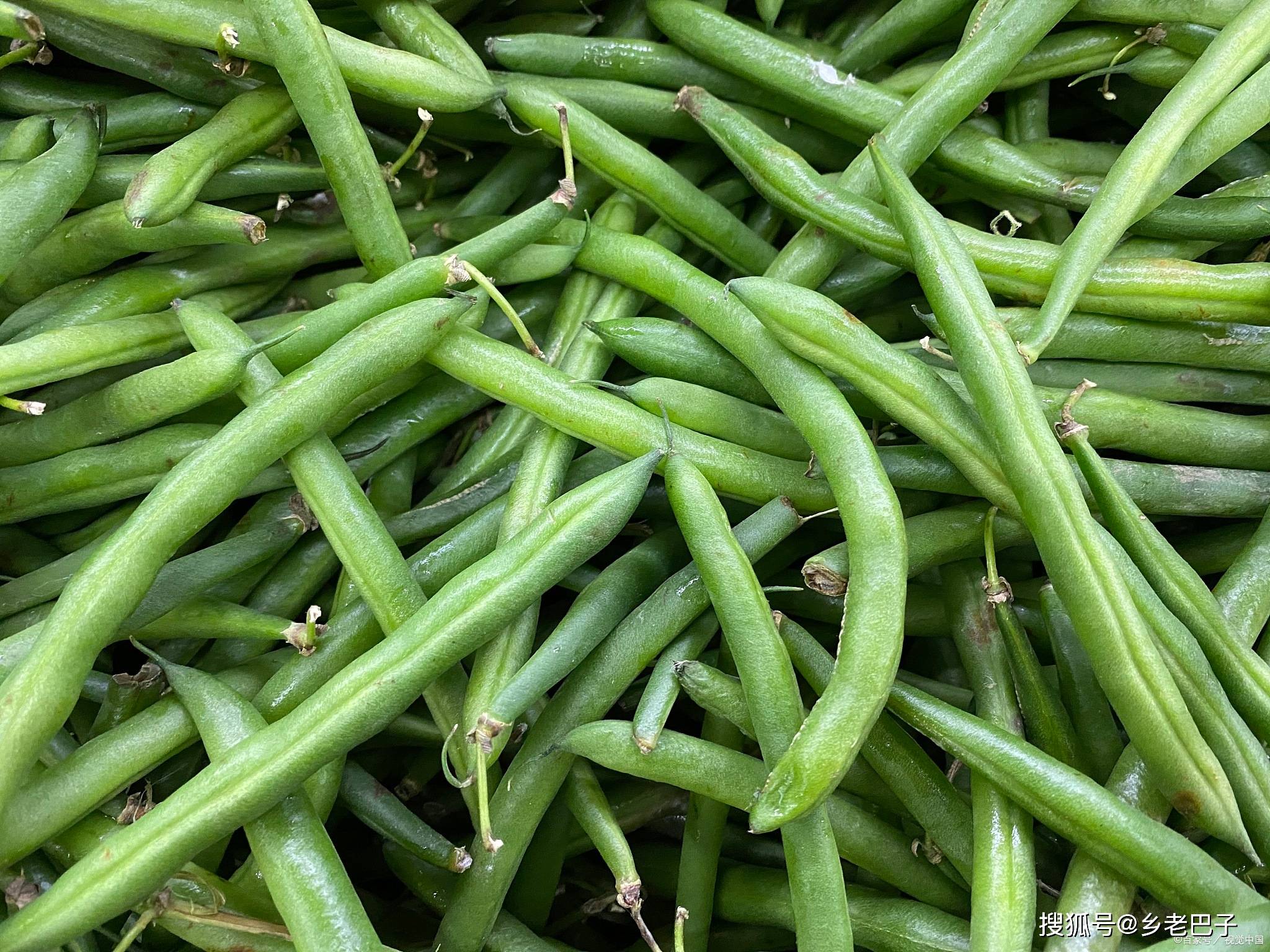 酸豆角简易制作方法人人可学人人可做一年四季都可吃